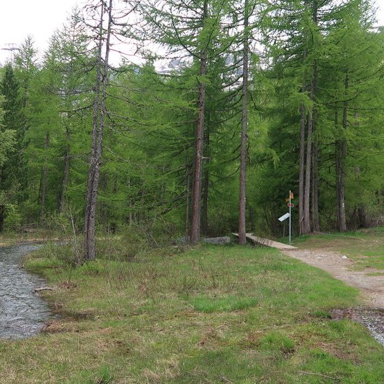 Surroundings